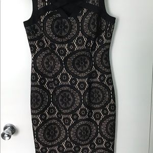 Enfocus studio dress size 6